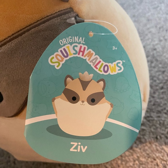 Zig the Flying Squirrel 8in Squishmallow - Picture 2 of 2